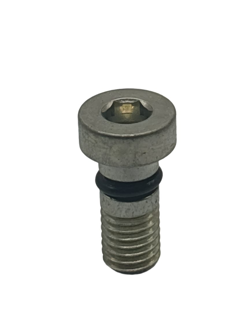 HS SCREW M10X23 CPL. -S218700000S0000